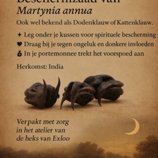 Cats Claw - Tijgerklauw - Vleermuiskop - Magische Zaden - 3 stuks in buidel!