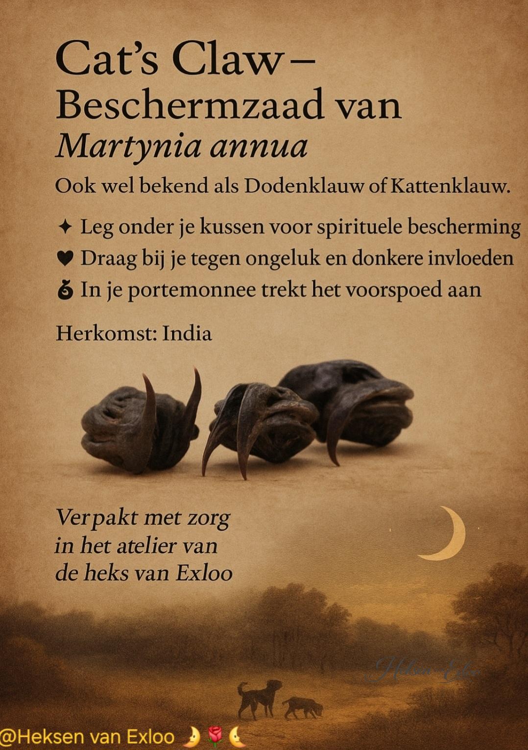 Cats Claw - Tijgerklauw - Vleermuiskop - Magische Zaden - 3 stuks in buidel!